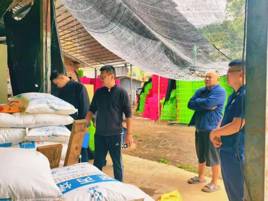 一周勐海市场监管(2026.4.6-2026.4.12)