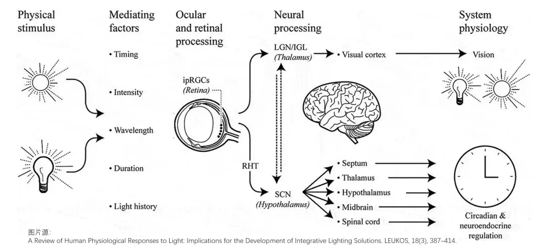 从现代生活方式及商业营销来看待LED“污名化” –“抵制污名化,健康照明再出发”系列