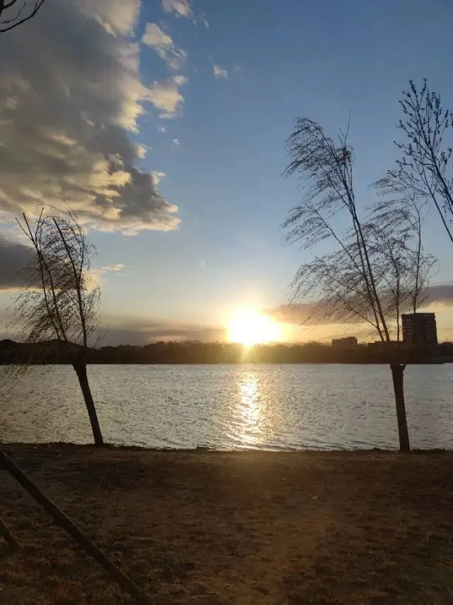 AI重写旅游规则!2026文旅营销大变局