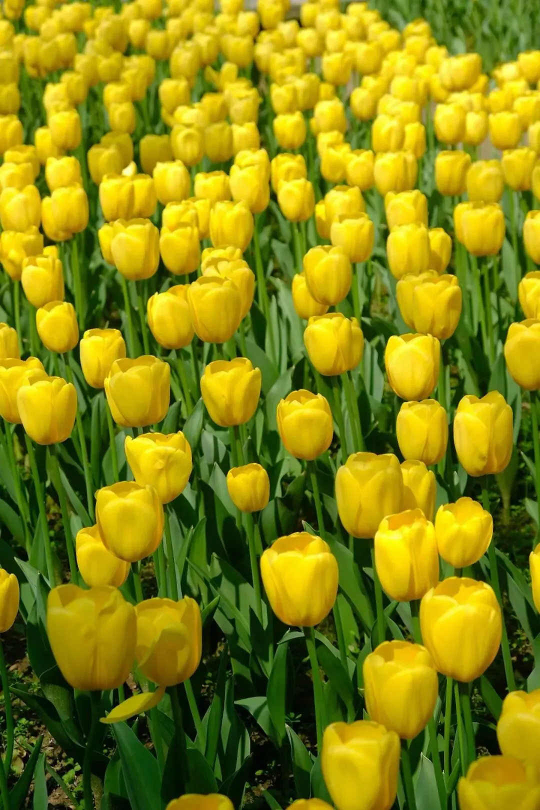 计算机科学与技术:高考专业全解(高一高二高三收藏版)