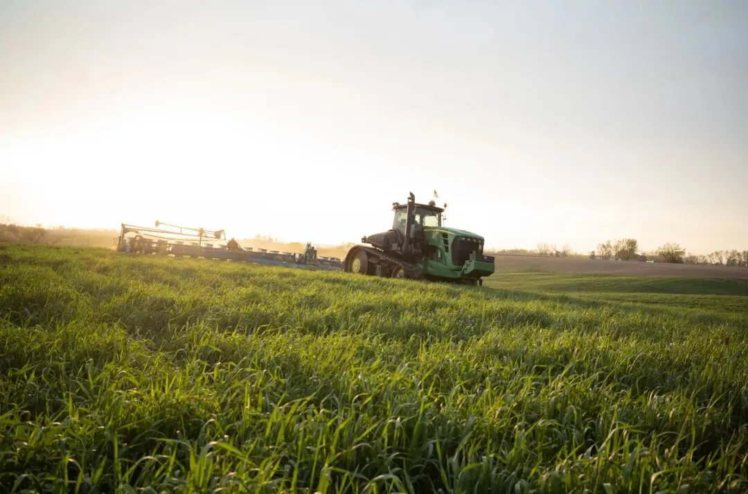 美国农业部发布2026年首份中国市场:豆粕及豆油生产、消费、贸易情况(下)