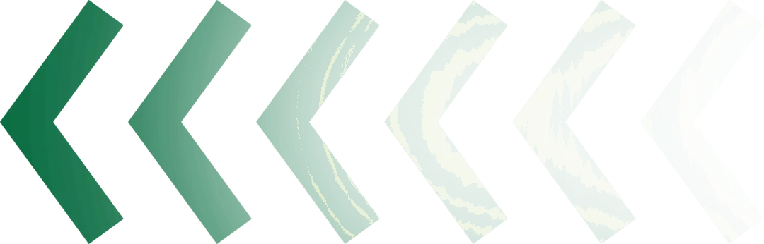 美国农业部发布2026年首份中国市场:豆粕及豆油生产、消费、贸易情况(下)