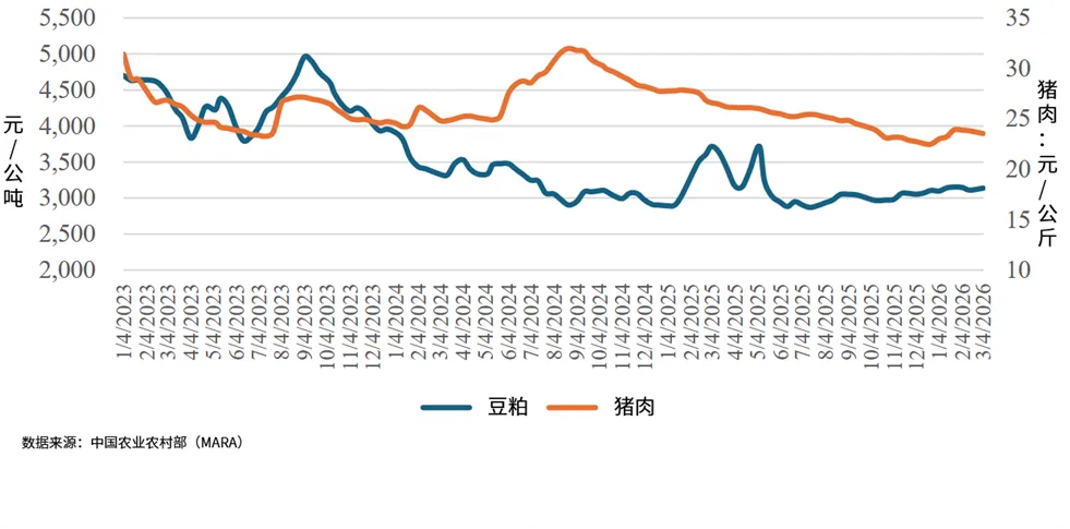 美国农业部发布2026年首份中国市场:豆粕及豆油生产、消费、贸易情况(下)