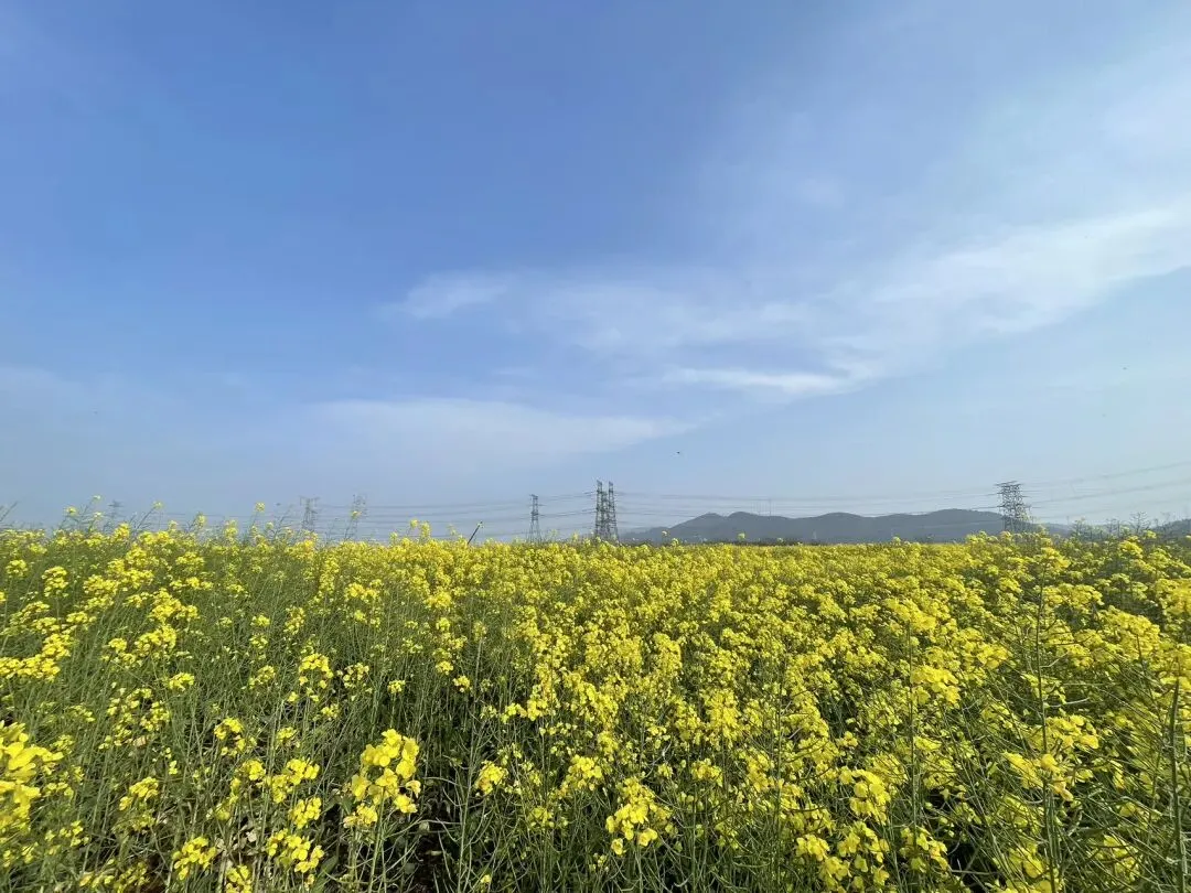 为什么在股票市场赚钱那么难?