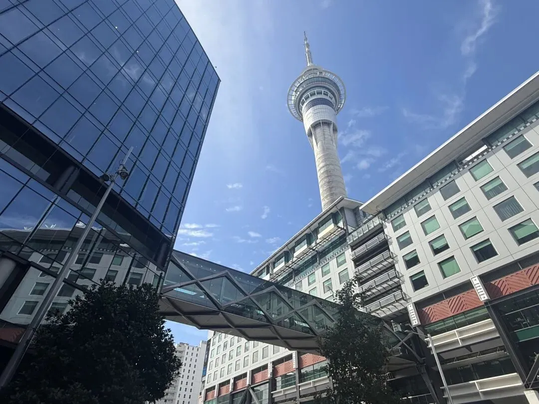 拍卖量腰斩,是市场转冷,还是机会窗口?