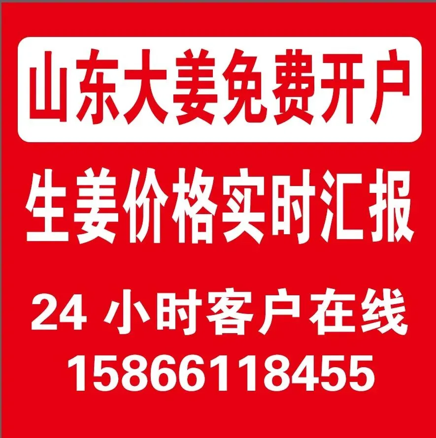 2026年4月13日昌邑洗姜市场,涨价一毛钱左右.