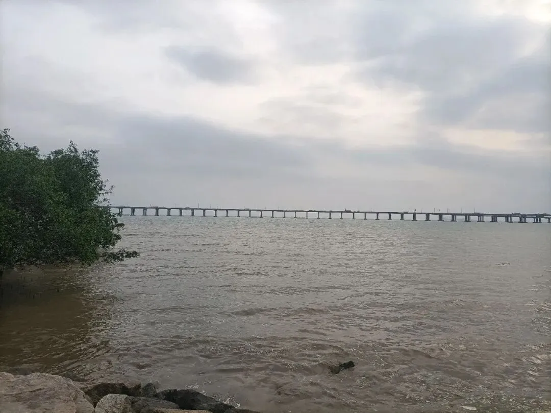 营销造富练功 day 3