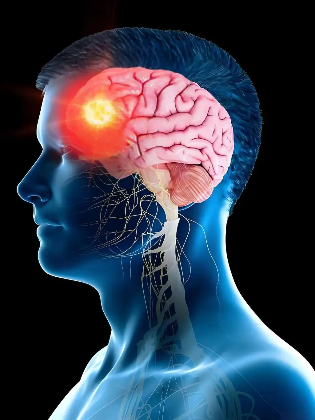 为什么顶级聪明人最终都走向金融市场?