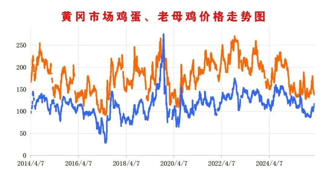2026年4月13日黄冈市场行情