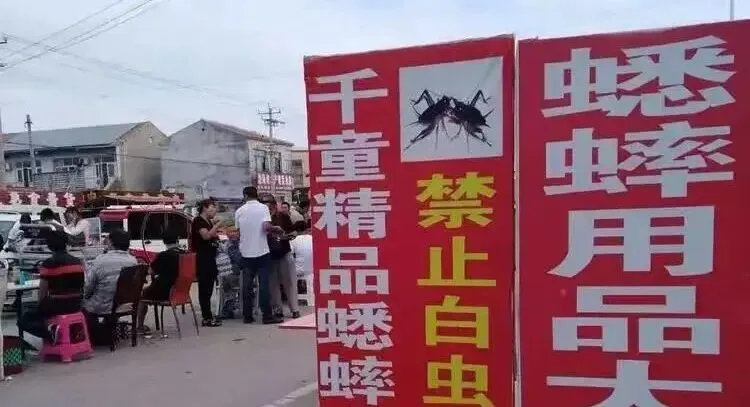 河北蟋蟀交易市场:仅次于山东、河南的重要产区