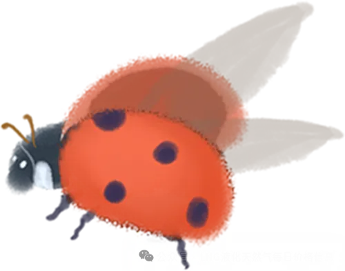 2026年4月13日市场观望情绪浓厚,LNG液化天然气市场价格趋缓,高价补跌