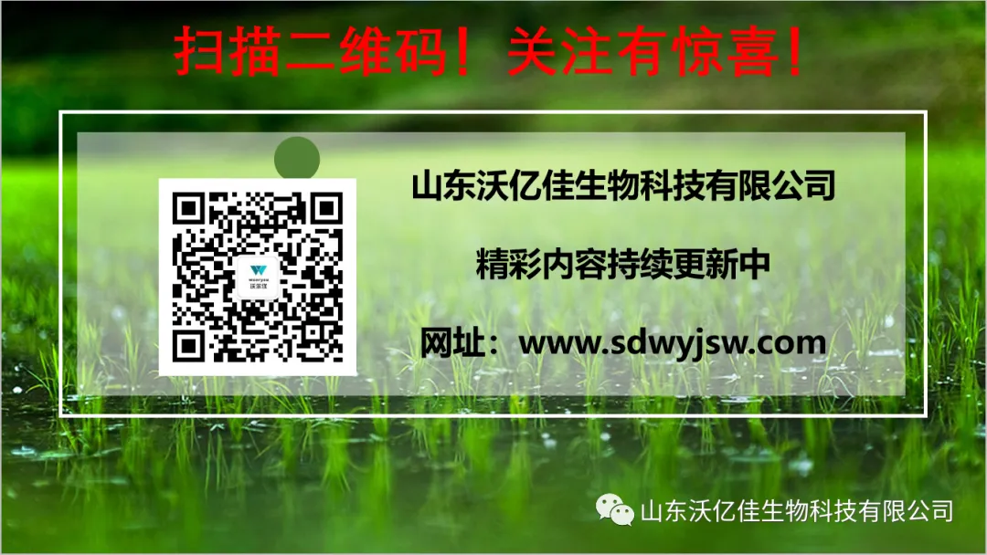 励志篇—— 做好销售,要有疯子的精神、傻子的楞劲、做孙子的觉悟!