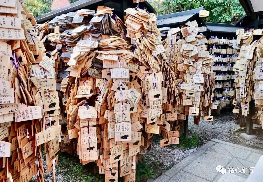京都 | 锦天满宫 | 藏在锦市场中的惊喜神社