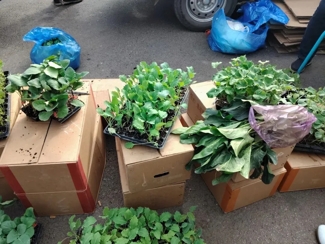 今日请假不上班,潮汐市场转一圈.琳琅满目迷人眼,心情愉悦脚步闲