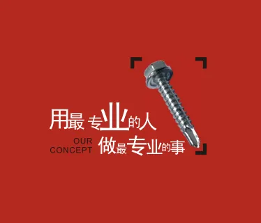 思佳维品牌的力量:会展营销!