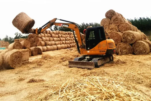 2026年小麦秸秆市场需求大吗?多重驱动下的千亿蓝海