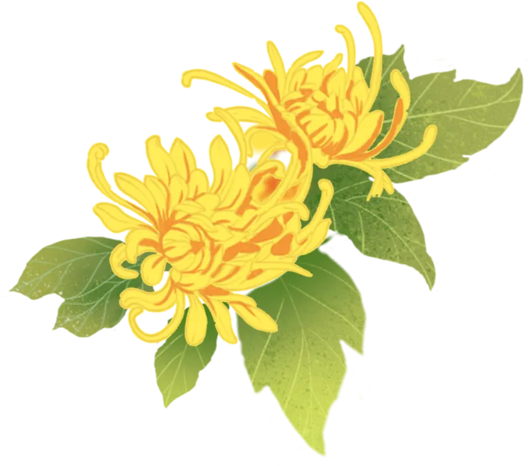 清明祭英烈 青春践誓言|泰州市博日电脑技术学校开展清明祭扫活动!