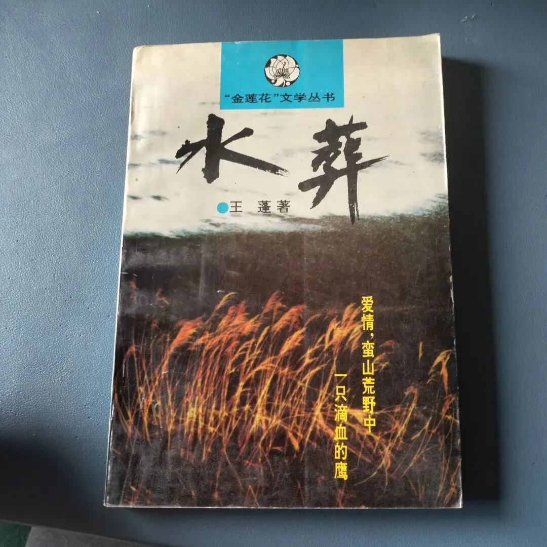 4月12日旧物市场淘书日记