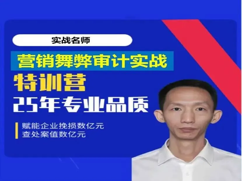 新品首发:营销舞弊审计实战