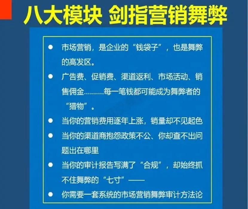 新品首发:营销舞弊审计实战