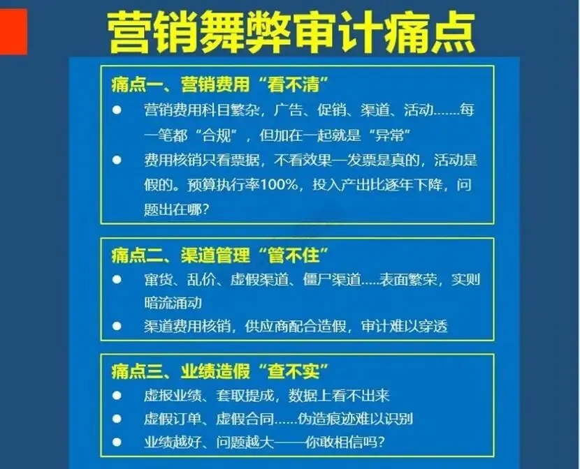 新品首发:营销舞弊审计实战