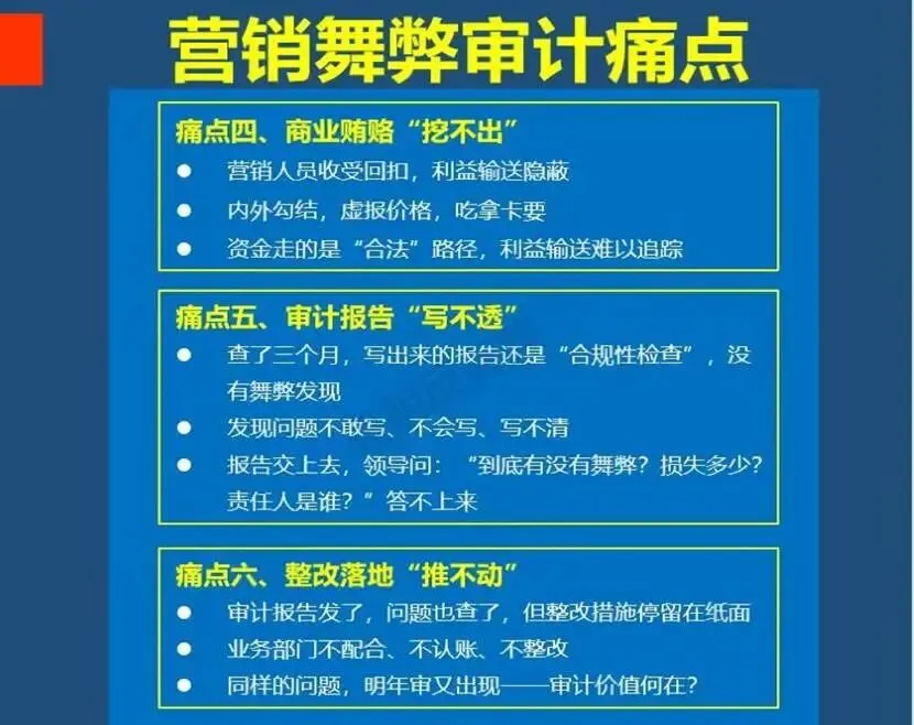 新品首发:营销舞弊审计实战