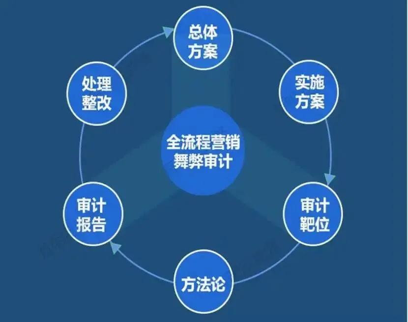 新品首发:营销舞弊审计实战