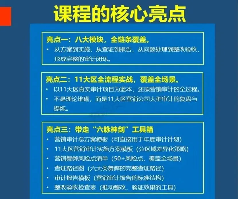 新品首发:营销舞弊审计实战