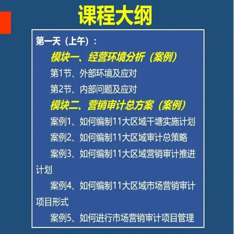 新品首发:营销舞弊审计实战
