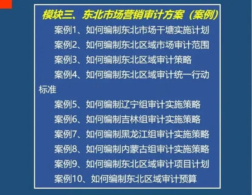 新品首发:营销舞弊审计实战