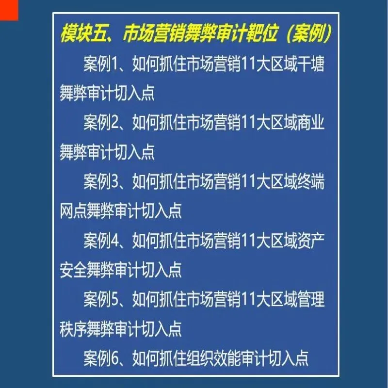 新品首发:营销舞弊审计实战