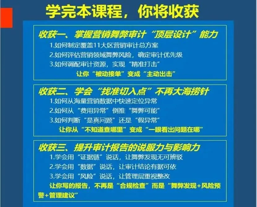 新品首发:营销舞弊审计实战