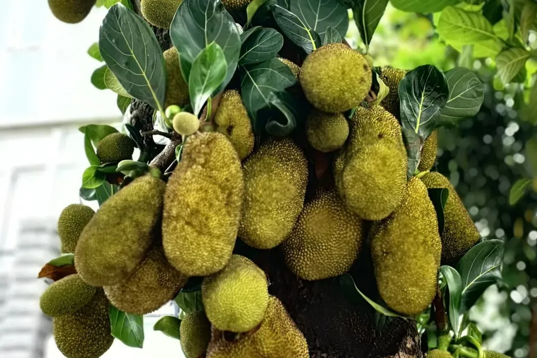 美伊谈崩了?好事啊!市场终于有底了