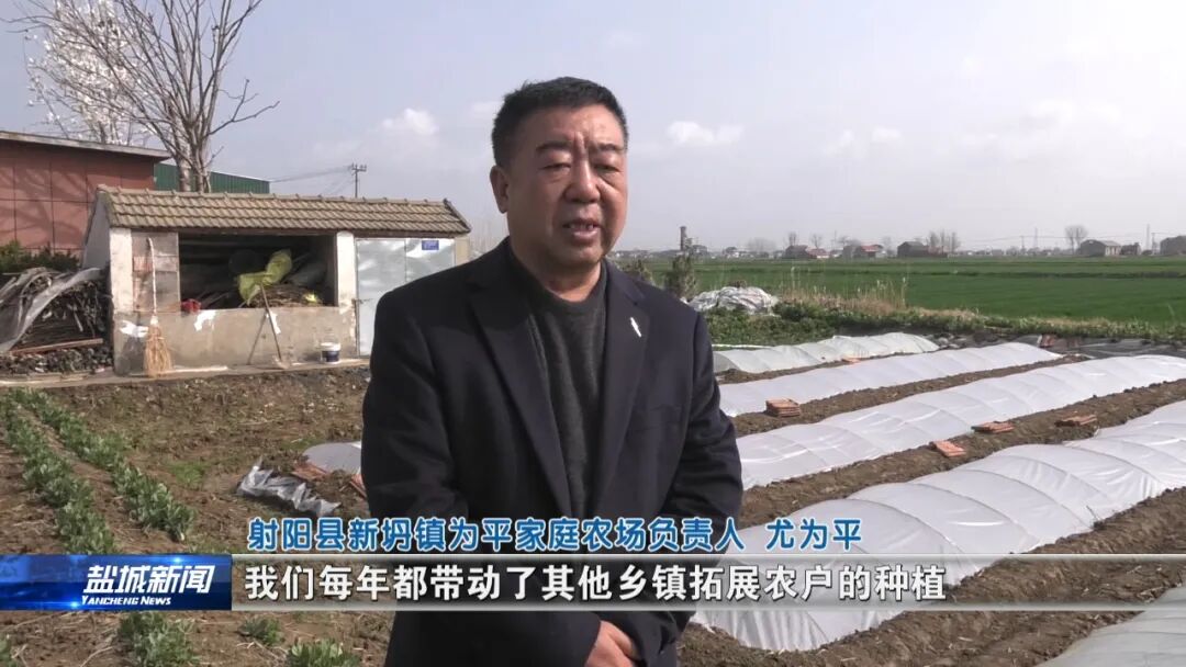 春耕育苗正当时 农资保供稳市场