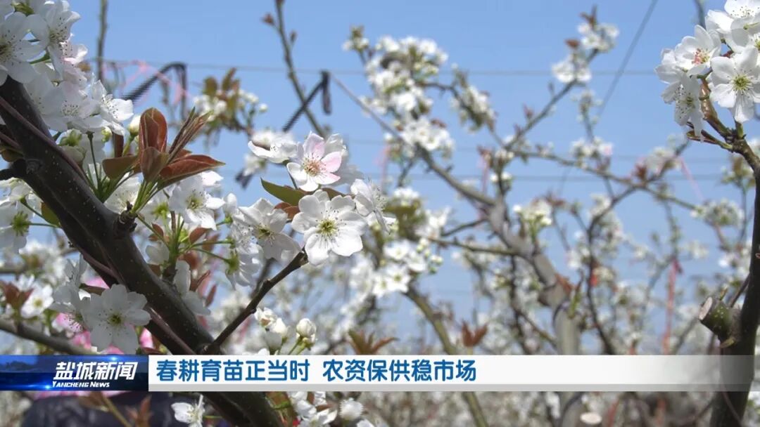 春耕育苗正当时 农资保供稳市场