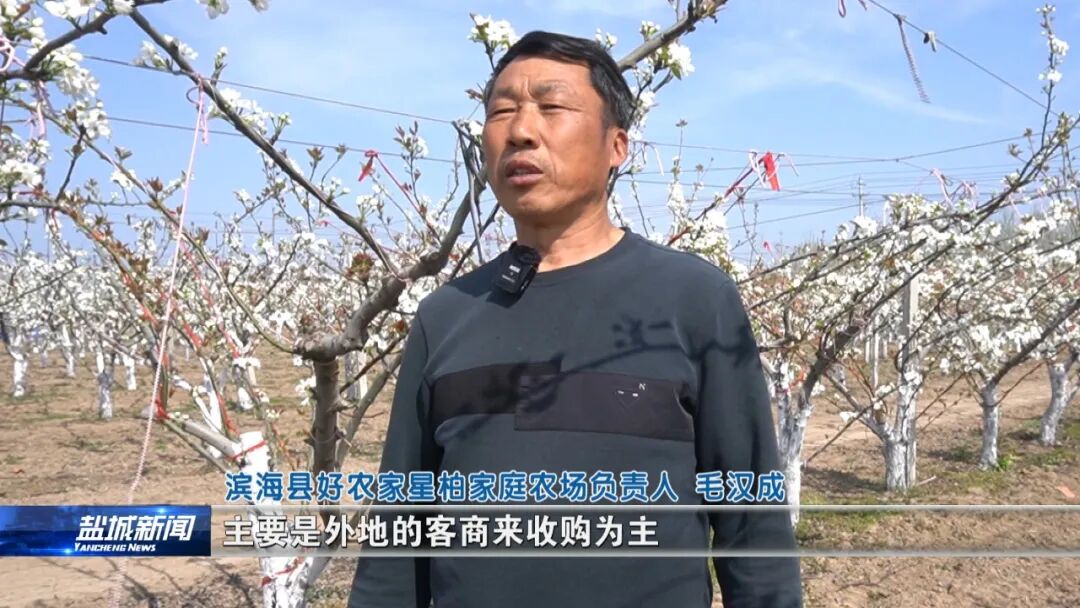 春耕育苗正当时 农资保供稳市场