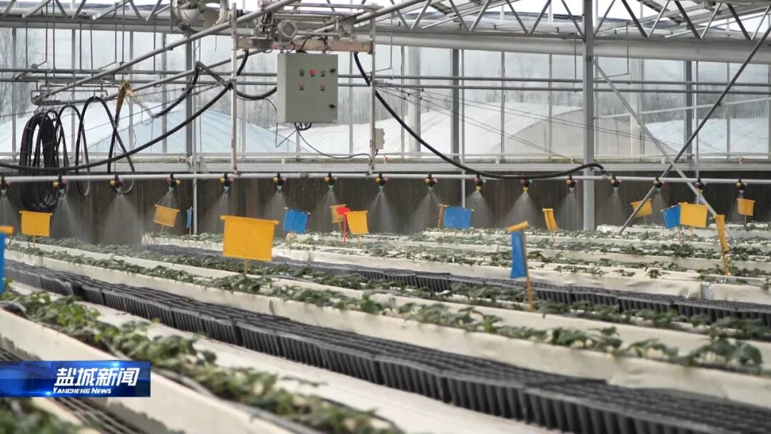 春耕育苗正当时 农资保供稳市场