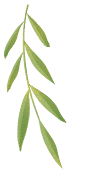 回民区零工市场4月招聘信息