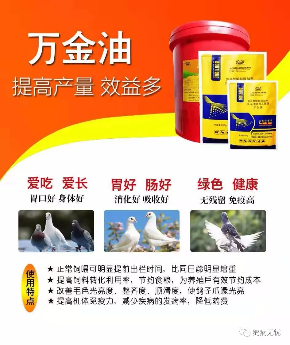 近期高粱,豌豆市场分析