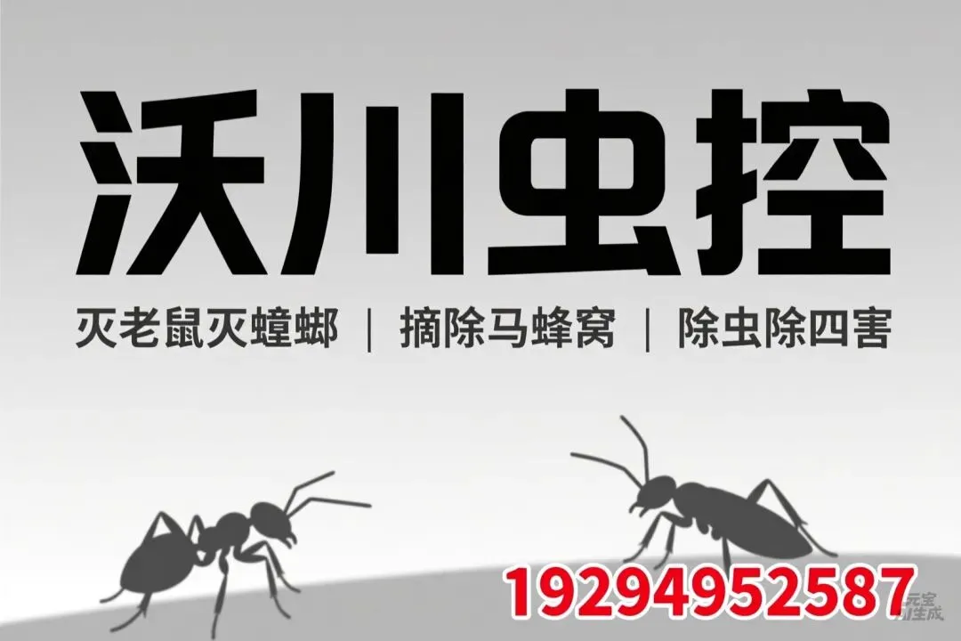 消杀公司“掘金”指南:高价值客户信息与市场策略全解析