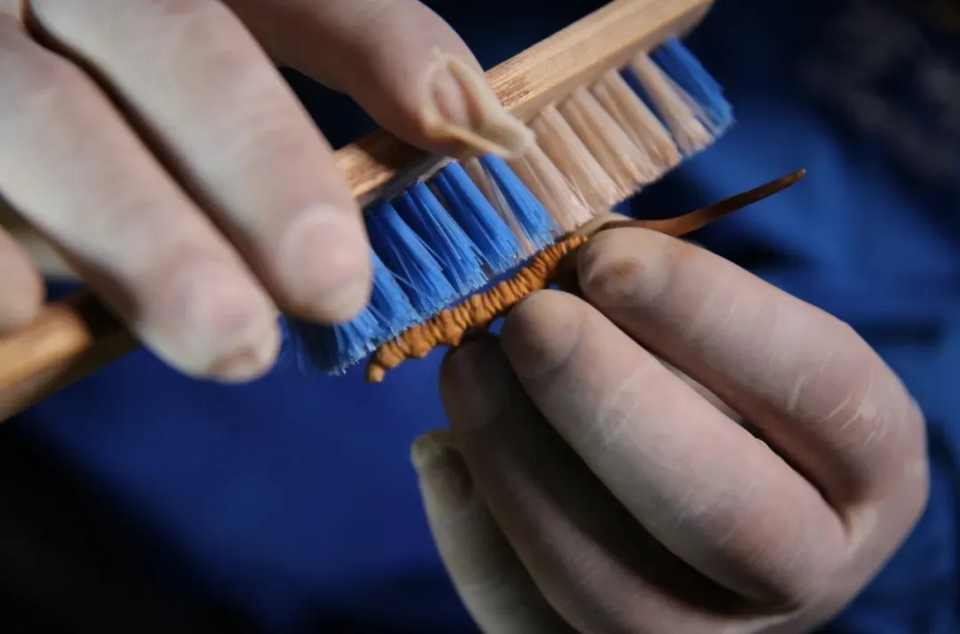 崩了,虫草市场暴雷!