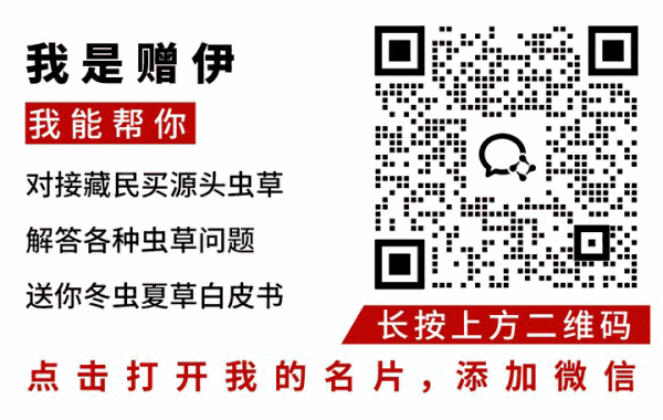 崩了,虫草市场暴雷!