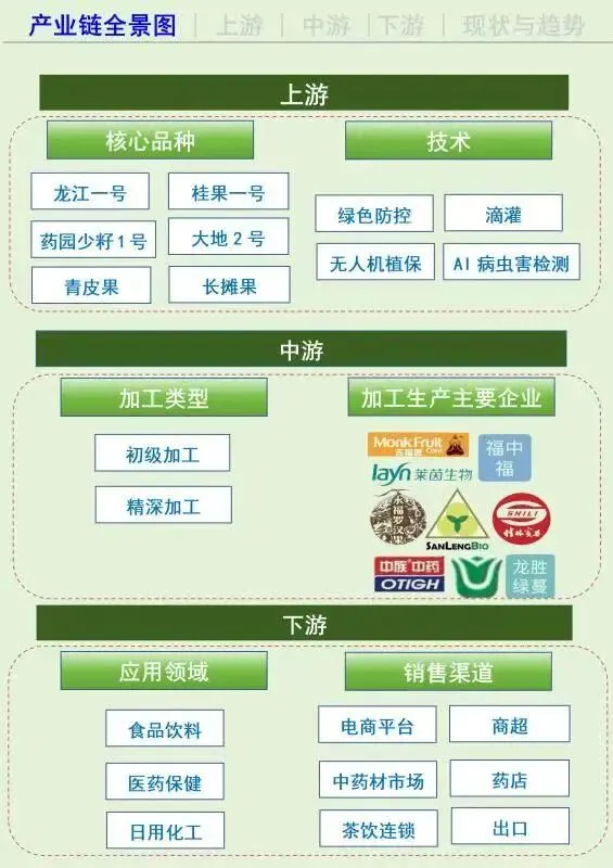 广西罗汉果产业链全景解析:从种苗到全球市场的“甜蜜产业”