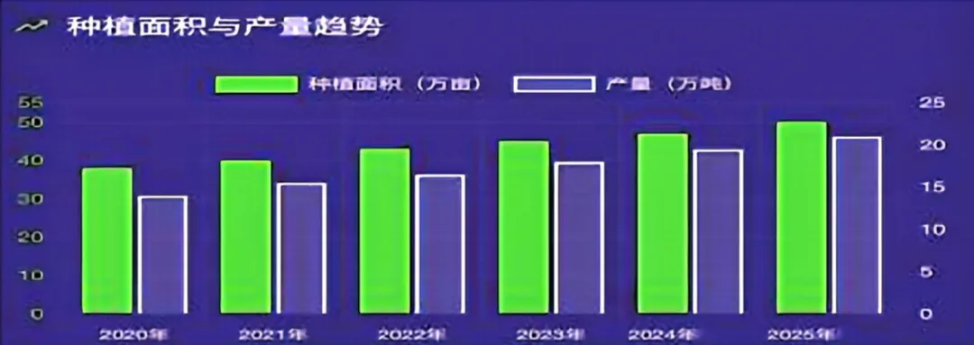 广西罗汉果产业链全景解析:从种苗到全球市场的“甜蜜产业”