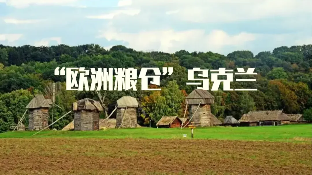 乌克兰被美国“嘲讽”后,却意外拿下中国市场“入场券”!