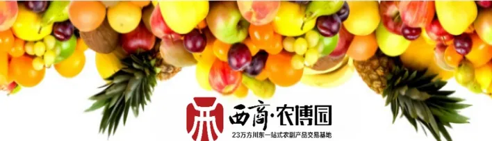 西商农博园|农批市场今日菜价一览(2026年4月13日)