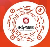 西商农博园|农批市场今日菜价一览(2026年4月13日)
