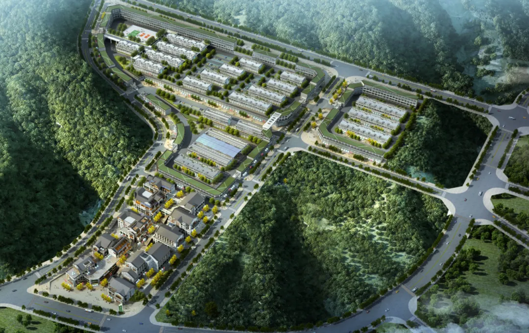 西商农博园|农批市场今日菜价一览(2026年4月13日)