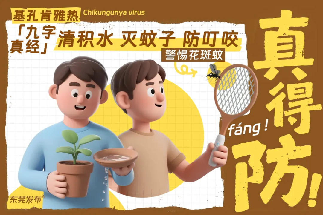 农贸市场防蚊灭蚊工作详细指南看这里→