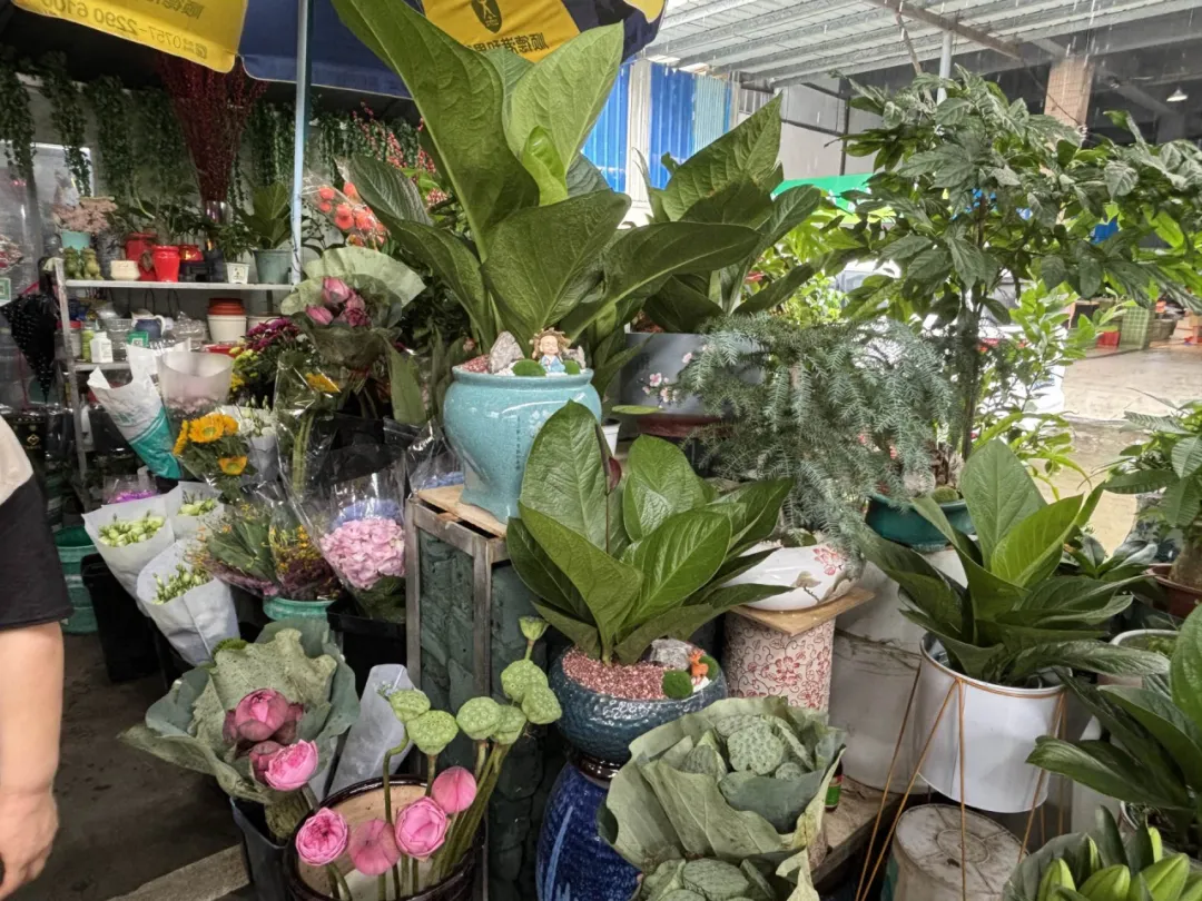 农贸市场防蚊灭蚊工作详细指南看这里→